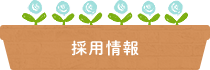 採用情報